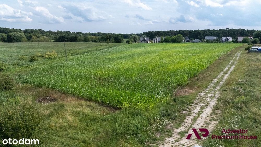 Duża działka z widokiem na drzewa