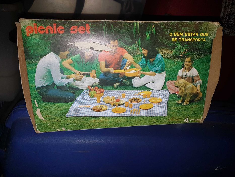 Conjunto de piquenique/campismo vintage