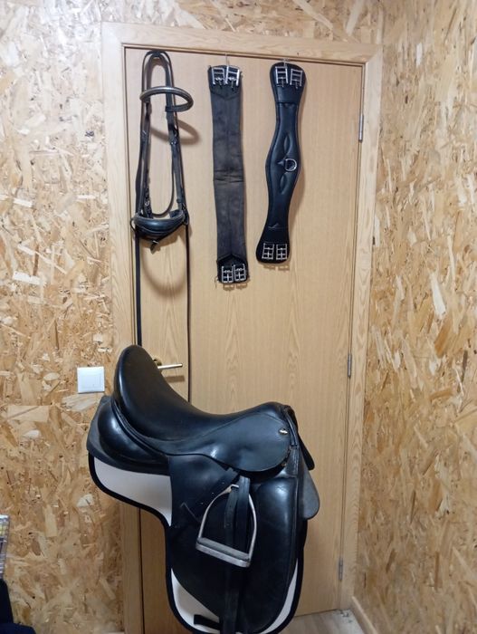 Sela/ Selim de ensino lexhis kll completo com cabeçada