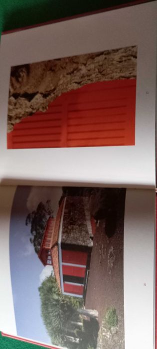 Dragoeiros do Museu do  Vinho       'Ilha do Pico'
