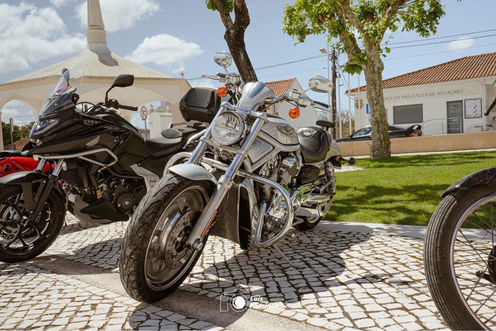 Venda harley v-rod
