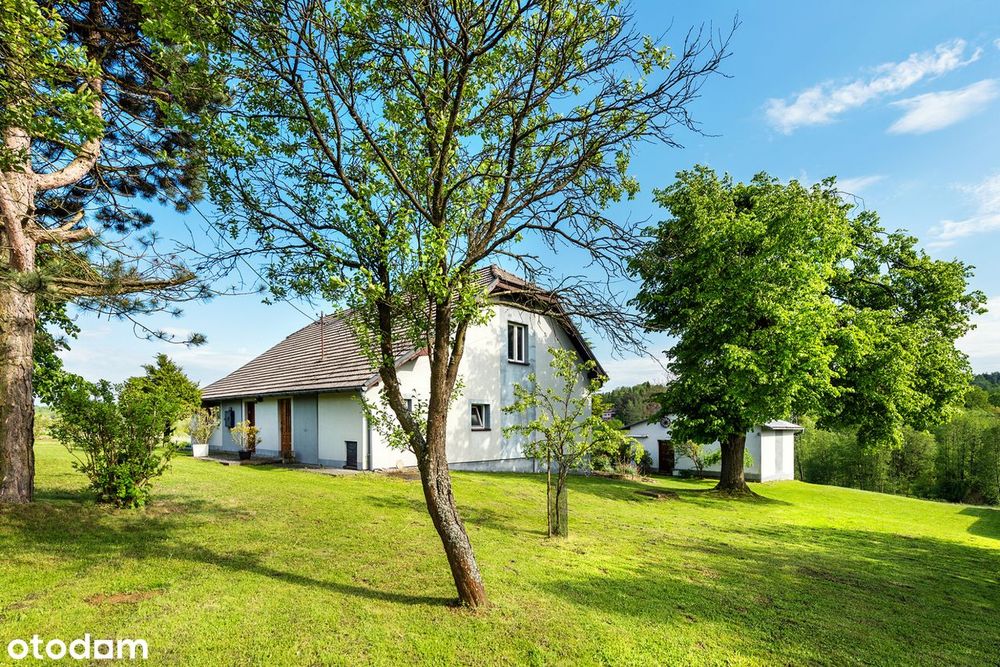 Klimatyczne siedlisko (1,77 ha) Bieńkowice - Widok 2