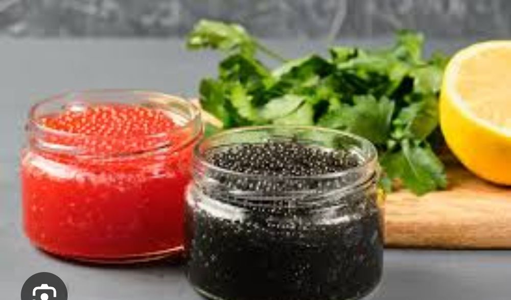 Икра красная червона кеты лосося горбуши щуки черная веслоноса!