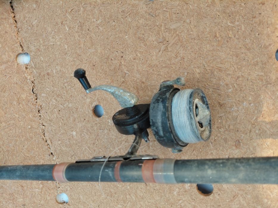 Várias canas de pesca 2