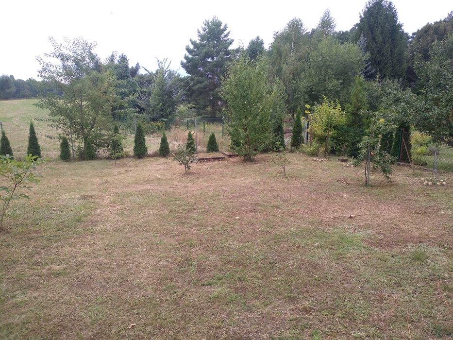 Dom – Luboń - Więcej