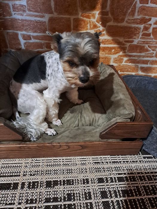 Бивер йорк для вязки