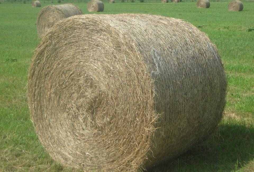 Sprzedam siano sianokiszonkę