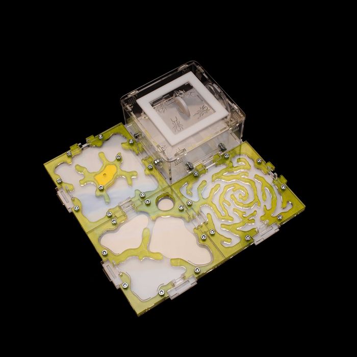 4М-М, Мурашина ферма Різдво Мурашник Формикарий Муравьиная ферма