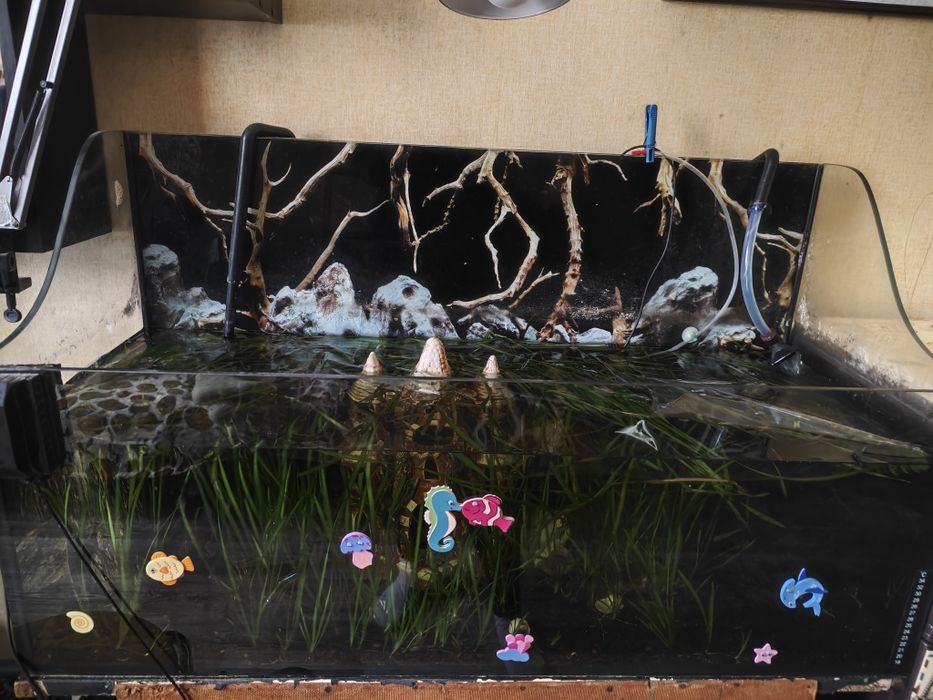 Акваріум-тераріум на 300 літрів