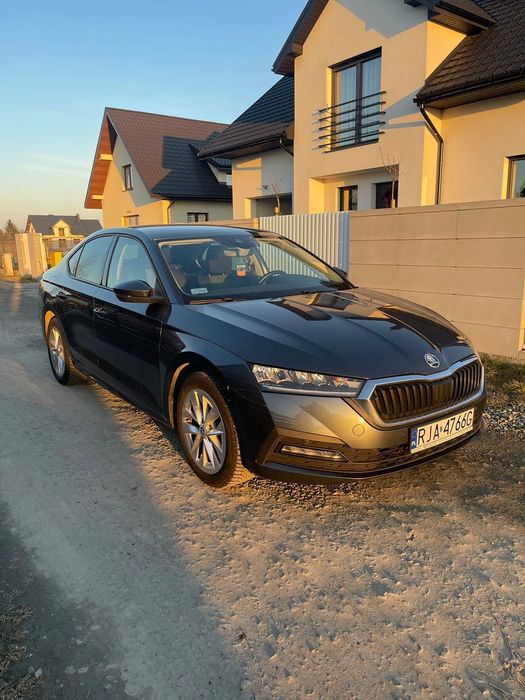 Skoda Octavia Salon Polska, jeden użytkownik