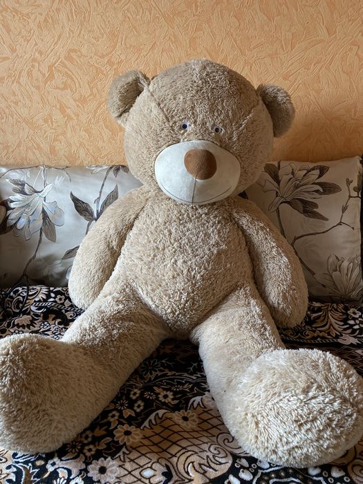 Плюшевий відмідь