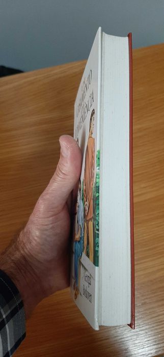 Livro "Um Casamento de Conveniência" (Georgia Bockoven)