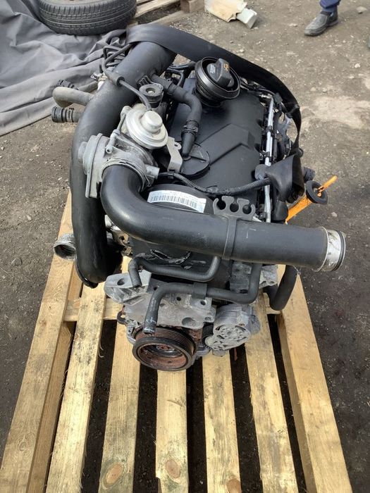 audi a3 vw golf v silnik kompletny 1.9 tdi bkc