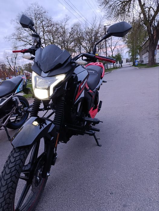 Мустанг мт 250 9r