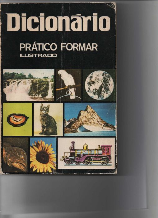 Dicionário Ilustrado Prático Formar