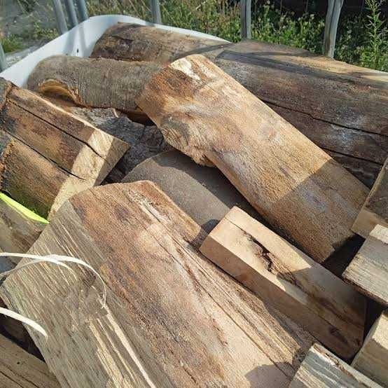 Liściaste oraz iglaste drewno kominkowe