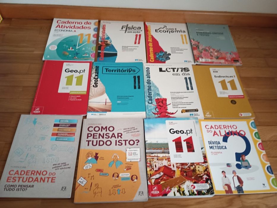 Manuais e cadernos de atividades 11ºano