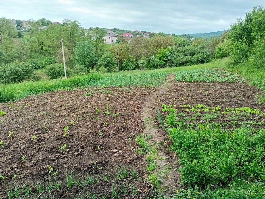 Продам домоволодіння 170 м.кв.зі зручностями на виїзді з Садгори - View 3