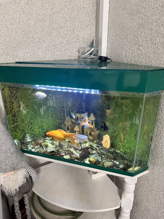 Продам акваріум 130л