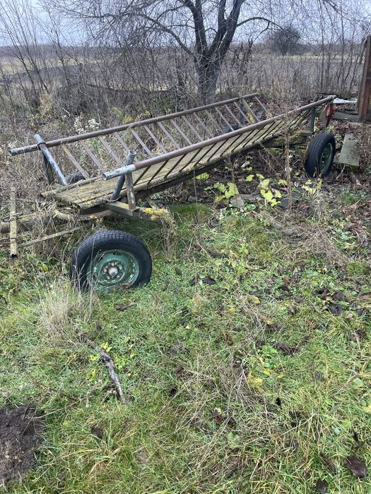 Кінний віз з металевими драбинами