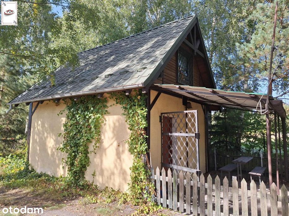 Dwa domki letniskowe z prywatną drogą do jeziora