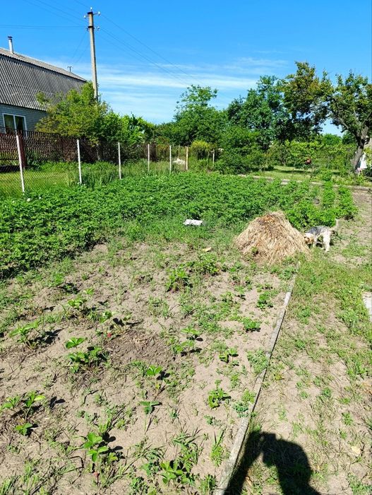 Продам дачу приватизированную