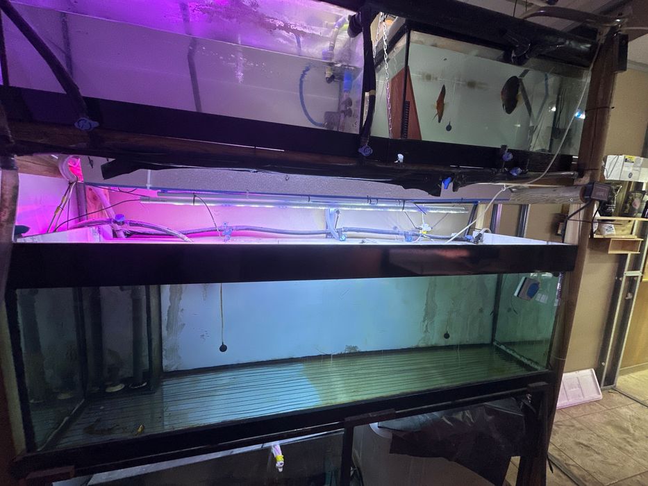 Fishroom aquários e estantes