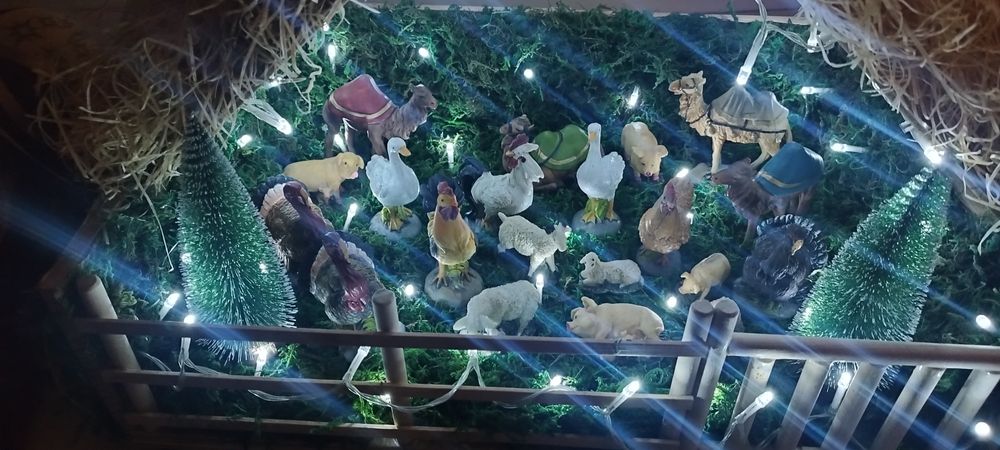 Vendo estas duas casinnhas