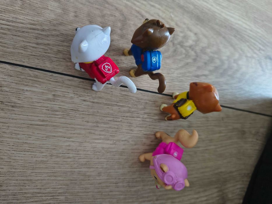 Koty kotki Hunfingera psi patrol paw patrol