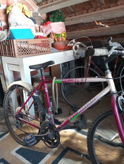 Bicicleta esm altina