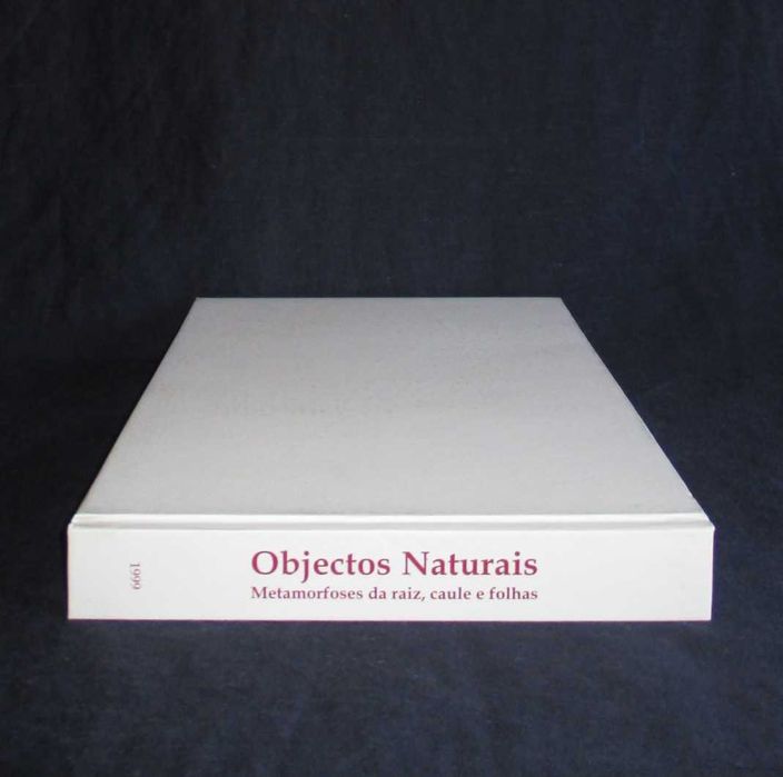 Livro Objectos Naturais Metamorfoses da raiz caule e folhas