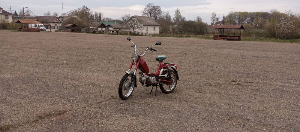 Малагутик Італія