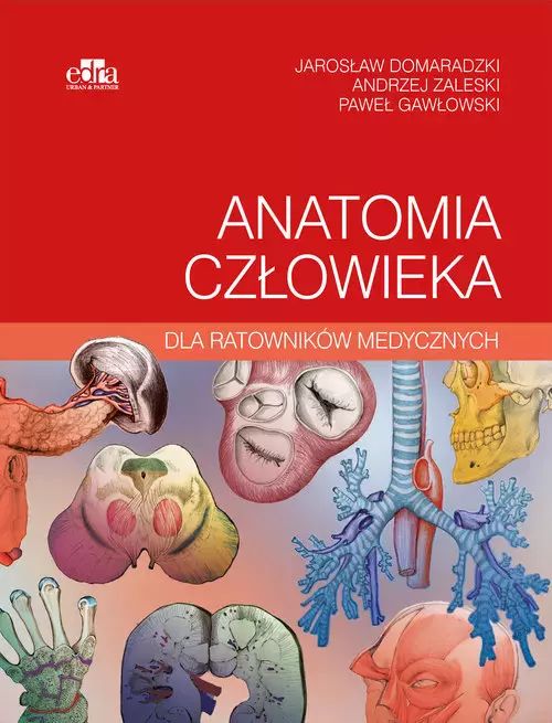 Anatomia człowieka dla ratowników medycznych. Urban & Partner