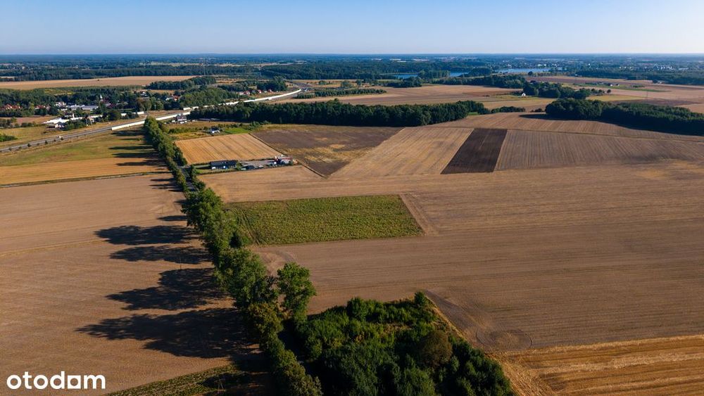Działki pod dom | Olchowo | 1200 m² | 99 zł/m²