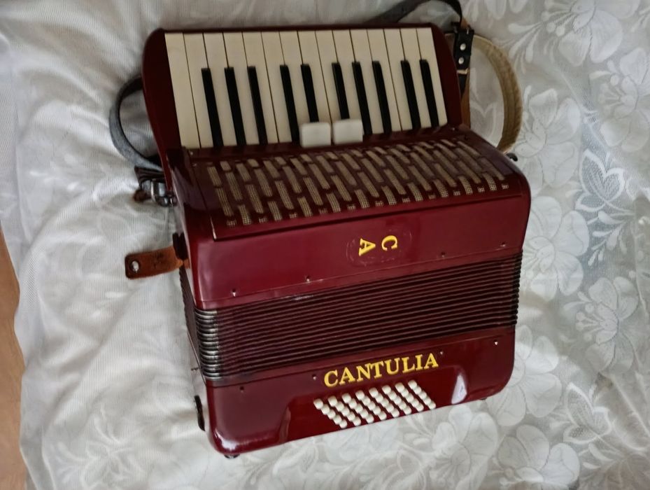 Akordeon Cantulia Niemiecki