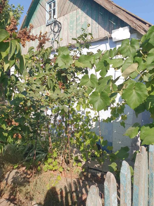 Продам будинок в смт Великодалинське