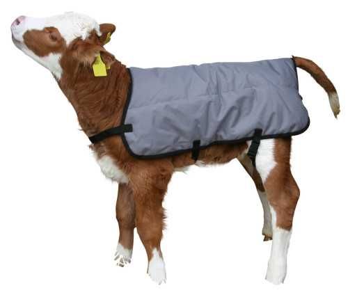 Derka dla cielaka Ripstopp, 70cm, szara, Kerbl