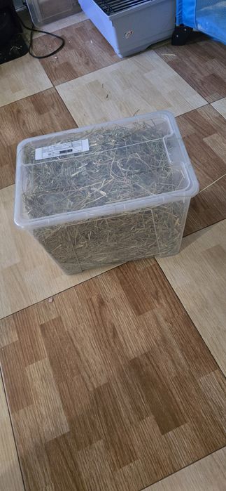 Gaiola para coelho