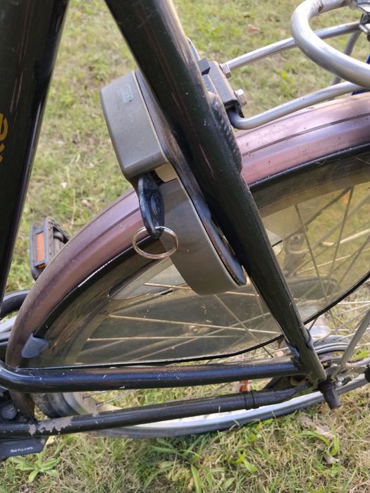 Rower Holenderski