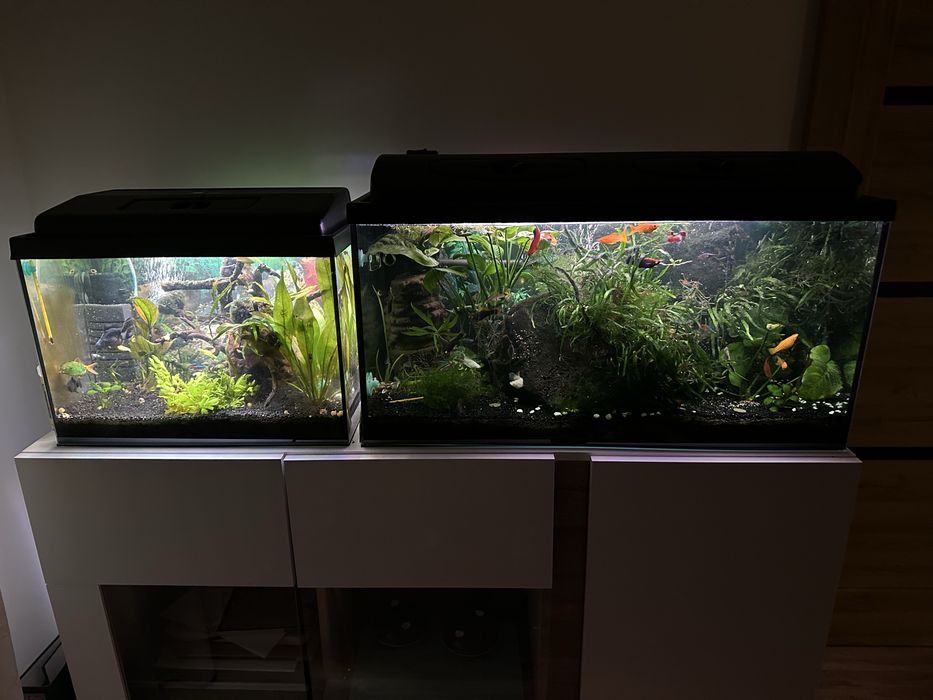 Akwarium 112 litrów