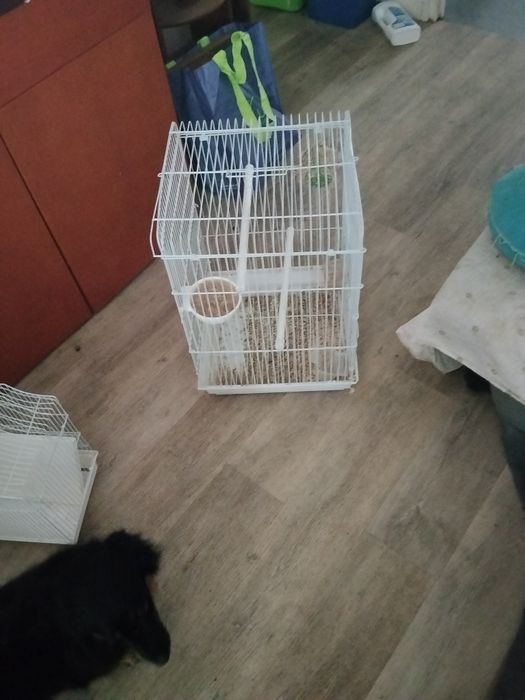Vendo gaiola praticamente nova