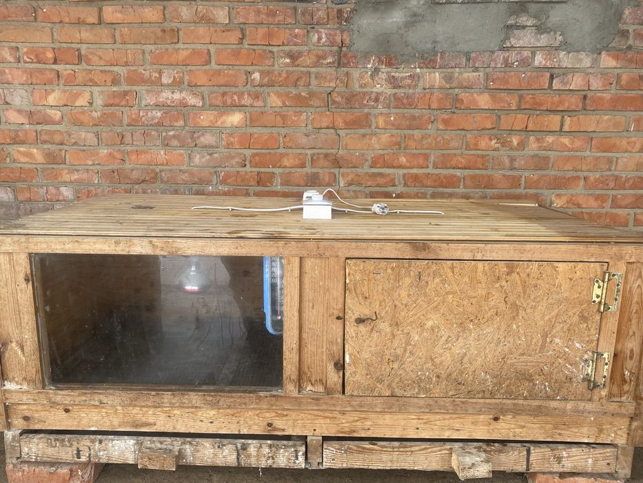 Брудер для курчат