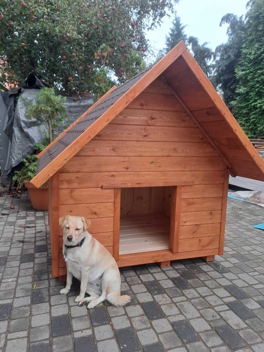 Buda dla twojego pupila Zapraszamy Możliwy transport