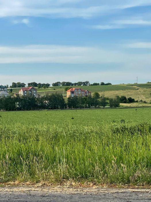 Будинок в селі Строїнці