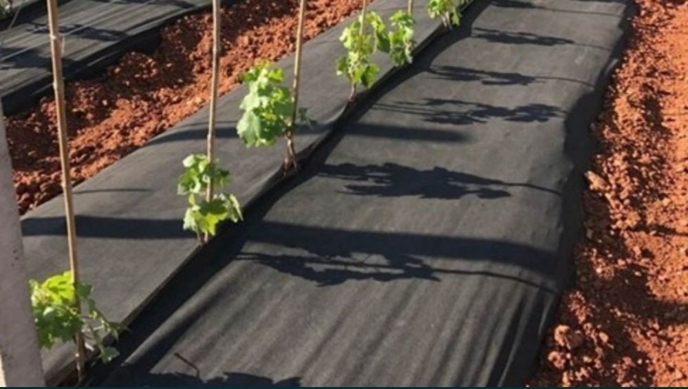 Agrowłóknina P50g 1.20x500 do ściółkowania  (POLSKA MOCNA )