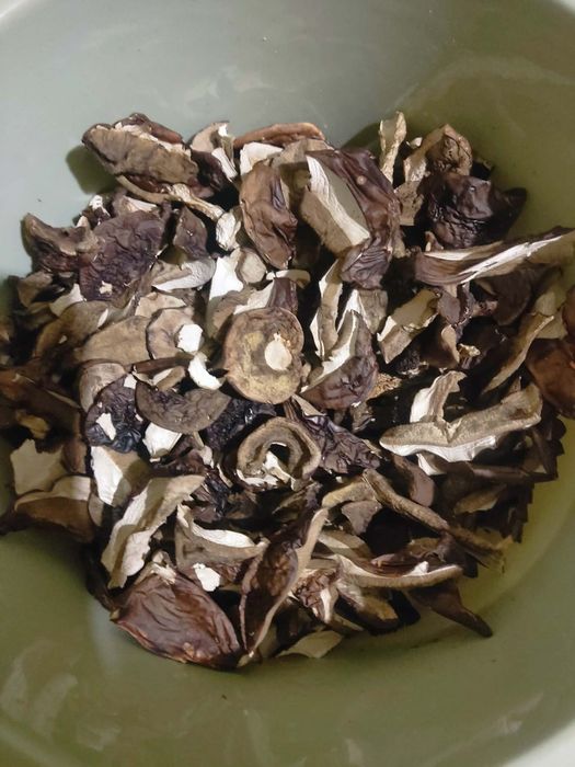 GRZYBY Suszone tegoroczne 300g