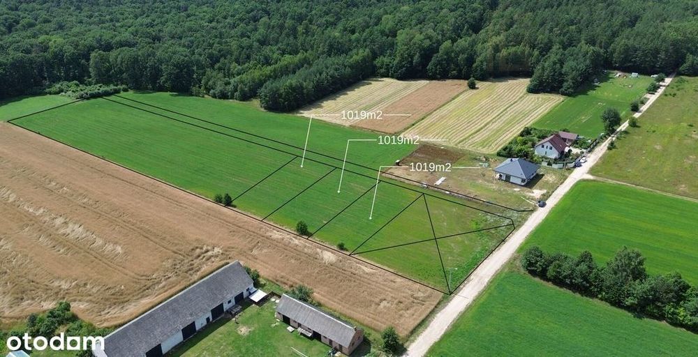 Działki budowlane i uzbrojone w Baczach Suchych