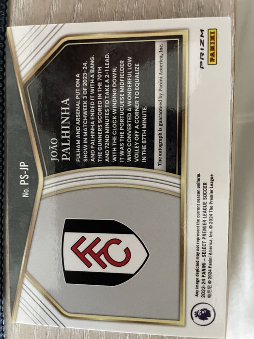 João Palhinha AUTO PANINI
