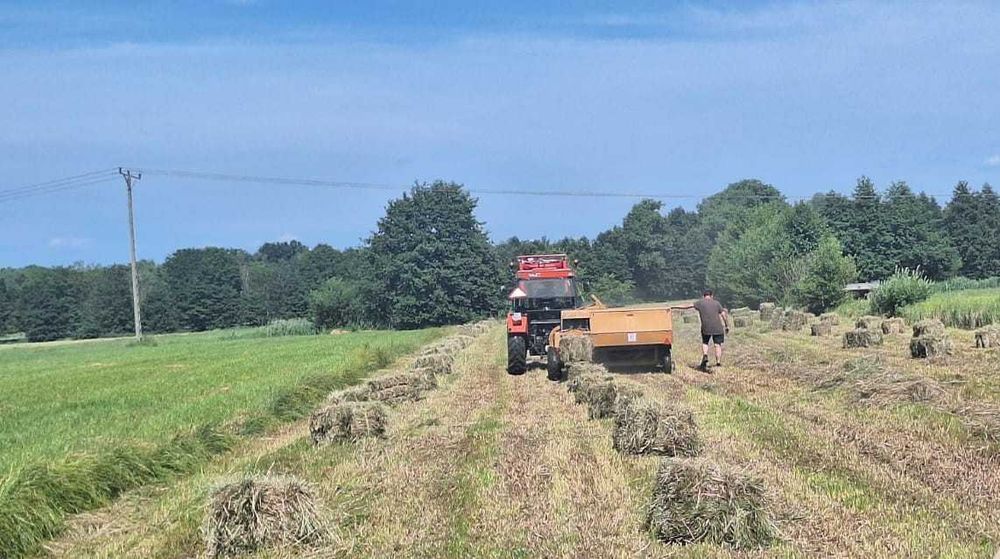 Tegoroczne siano ekologiczne w równych kostkach