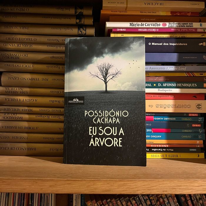Possidónio Cachapa - I Am the Tree (Free Shipping)